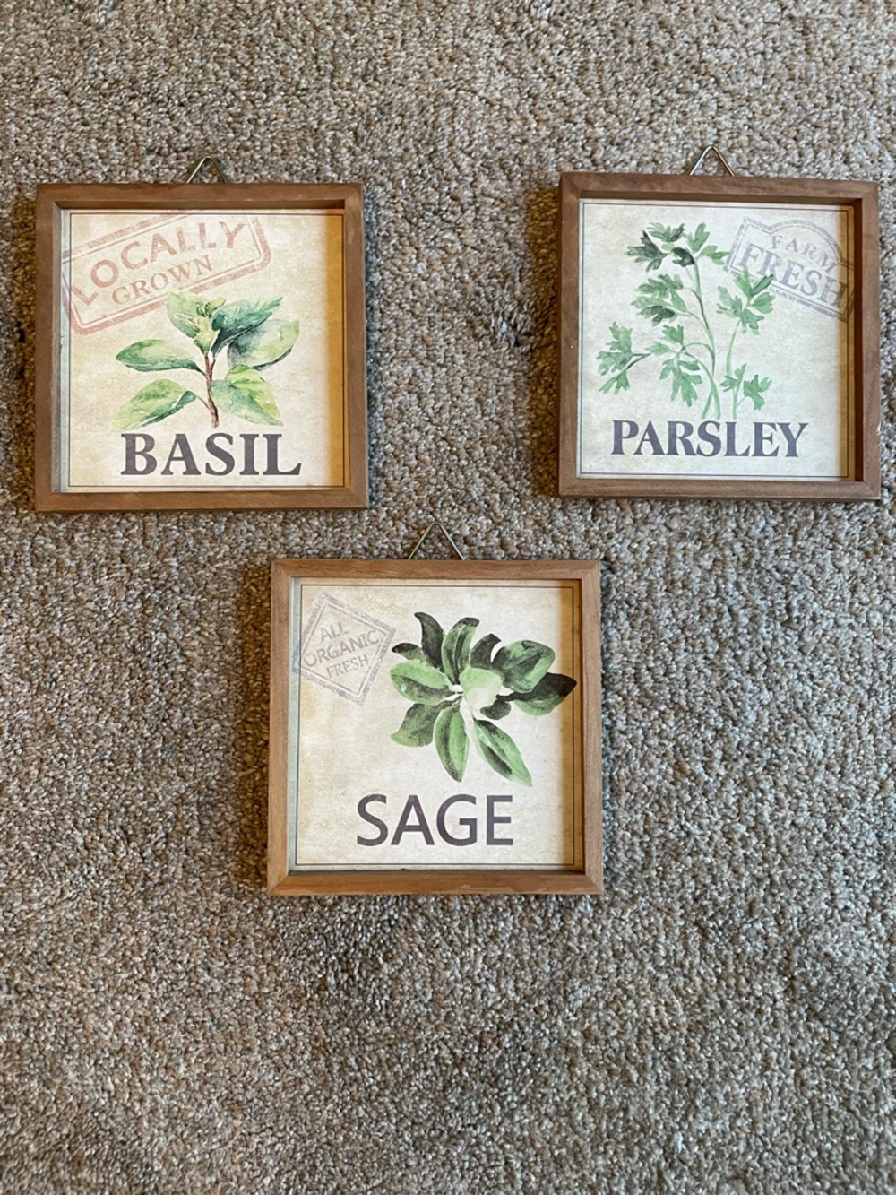 Herb Wall Art Trio - Basil Parsley Sage - Green Botanical Prints 6X6in